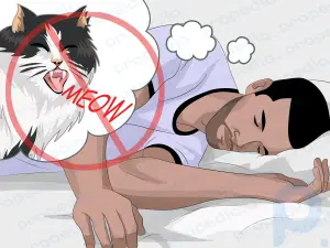 Comment empêcher votre chat de vous réveiller la nuit