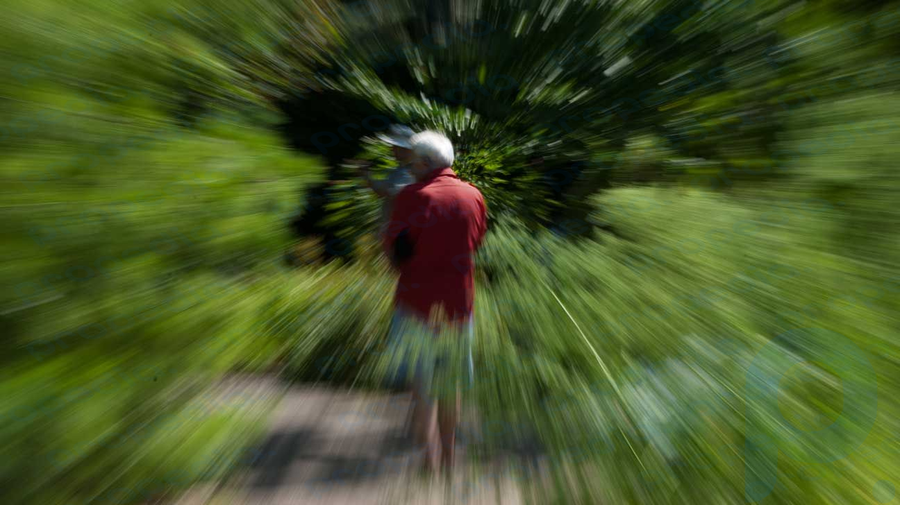 A blurry image of two men walking in a forest.