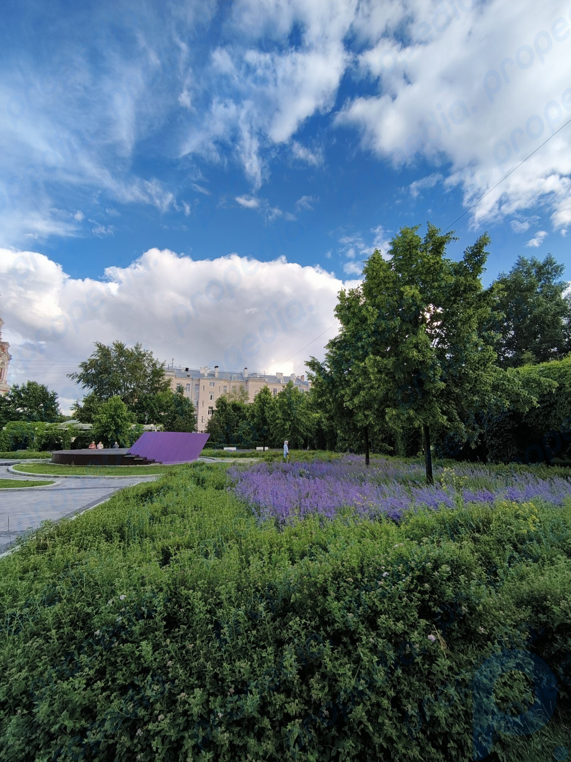 Prise de vue avec un appareil photo grand angle