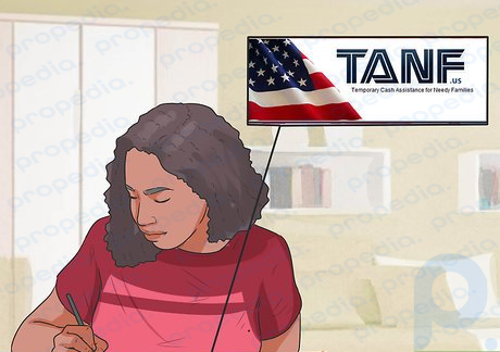 Step 4 Apply for TANF if you live in the USa.