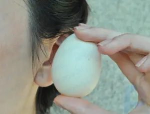 Como saber se seus ovos estão frescos