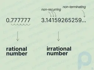 Rasyonel ve İrrasyonel Sayılar: Tanımlar ve Nasıl Tanımlanır?