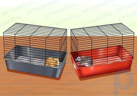 Passo 5 Mova um hamster intimidado para uma gaiola diferente.