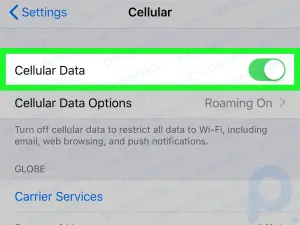 How to Turn on Mobile Data on iPhone or iPad