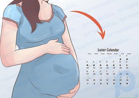 Step 2 Determine the lunar month during which the baby was conceived.