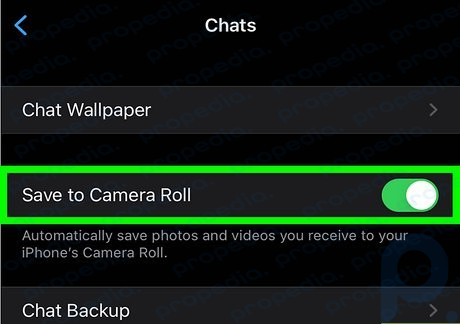 WhatsApp ビデオを iPhone または iPad に保存する簡単な方法