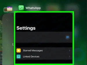 WhatsApp ビデオを iPhone または iPad に保存する簡単な方法