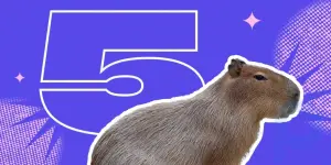 5 Fakten über Wasserschweine – die größten und süßesten Nagetiere der Welt