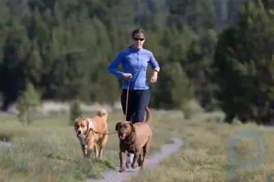Aplicación para correr WalkJogRun: nuevas rutas, calculadora de ritmo y entrenamientos para quienes quieran correr con su perro