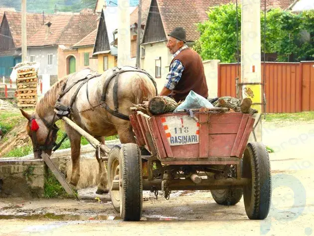 Romanya: köyler eski şekilde yaşıyor