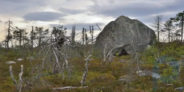 Karelya'da görülecek yerler: Vottovaara kaya masifi
