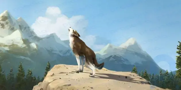 Quadro do desenho animado sobre lobos “White Fang”