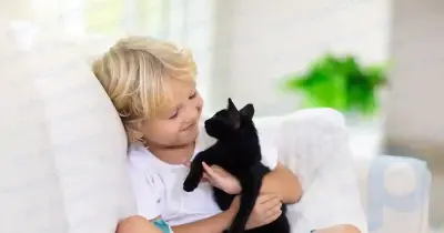 What to do if your child is allergic to cats