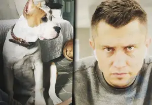 Nachdem er seine Frau und seine Kinder aus dem Haus geschickt hat, verbringt Pavel Priluchny seine Tage mit seinen Hunden
