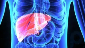 Alcohol-Related Liver Disease: Symptoms, Treatment and More