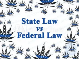 Lei Federal versus Lei Estadual: 5 maneiras pelas quais os poderes do governo afetam a economia