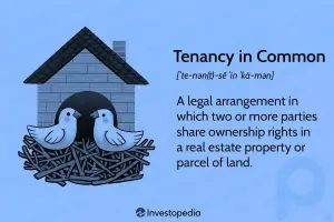 Explicación del arrendamiento en común (TIC): cómo funciona y en comparación con el arrendamiento conjunto