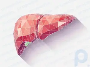 Karaciğer Fonksiyon Testleri: Amaç, Prosedür ve Sonuçlar