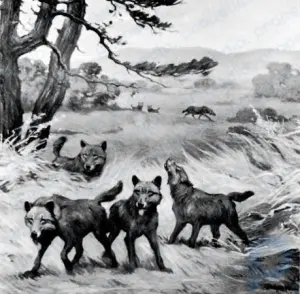 Dire wolf: extinct mammal