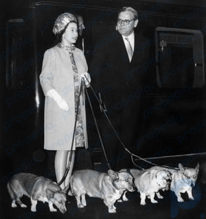 Isabel II y sus corgis