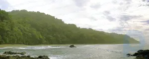 Полуостров Оса: полуостров, Коста-Рика