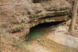 Flint Ridge Cave System: geological region, Kentucky, United States