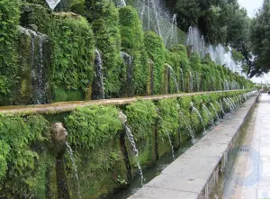 Fountain: landscaping