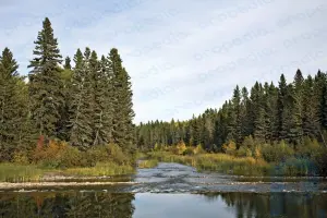プリンス アルバート国立公園。国立公園、サスカチュワン州、カナダ