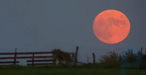 Harvest moon: full moon