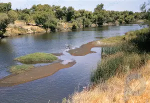 Река Сан-Хоакин: река, Калифорния, США
