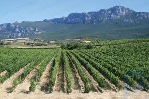 La Rioja: región, España