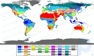 Мировое распространение основных климатических типов