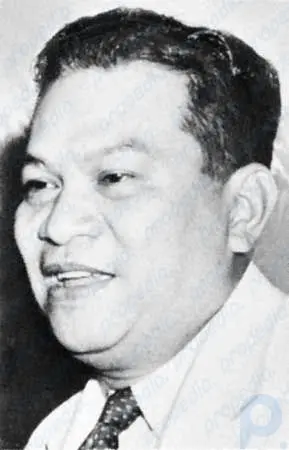 Рамон Магсайсай: президент Филиппин