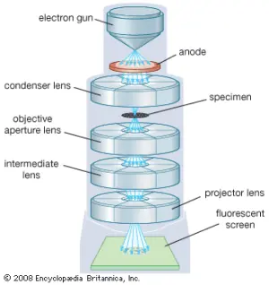 Microscopio electrónico de transmisión: instrumento