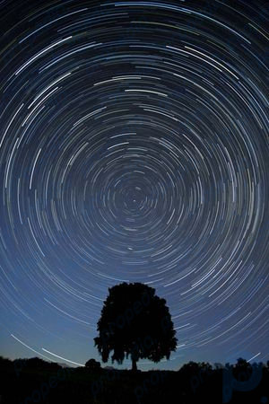 Rastros de estrellas centrados en el polo norte celeste, ubicado cerca de la estrella Polaris en la constelación de la Osa Menor.