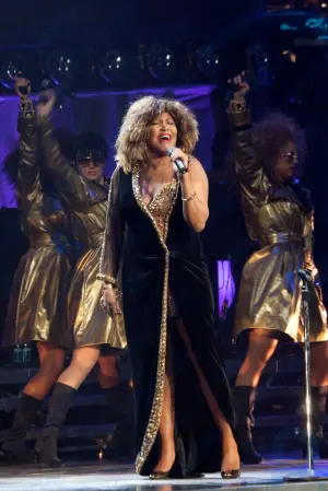 Tina Turner: In den USA geborener Sänger