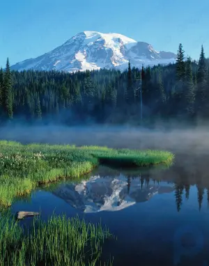 Parque Nacional Monte Rainier: parque nacional, Washington, Estados Unidos