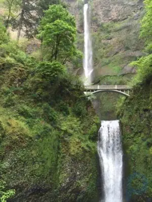 Multnomah Falls: waterfalls, Oregon, United States