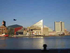 Acuario Nacional de Baltimore: Acuario, Baltimore, Maryland, Estados Unidos
