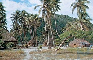 Деревня на острове Ясава, Фиджи.