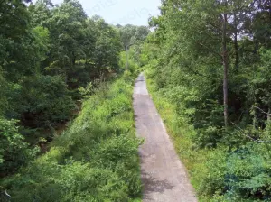 Wyre-Wald: Bezirk, England, Vereinigtes Königreich