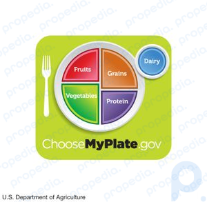 Pautas dietéticas de MiPlato del USDA
