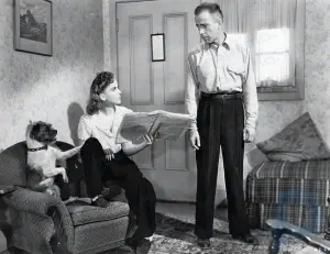 Hohe Sierra: Film von Walsh [1941]