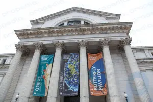 National Museum of Natural History: museum, Washington, District of Columbia, United States