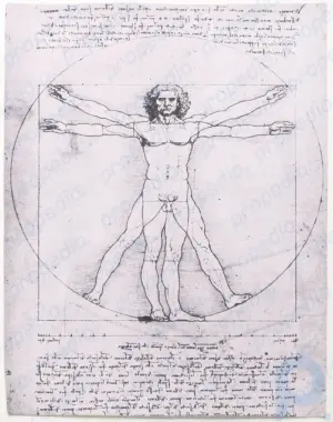 Витрувианский человек: Этюд фигуры Леонардо да Винчи
