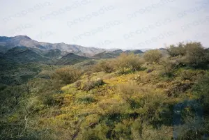 Национальный памятник Агуа Фриа: национальный памятник, Аризона, США
