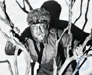 El hombre lobo: película de Waggner [1941]