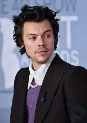 Harry Styles: British singer and actor
