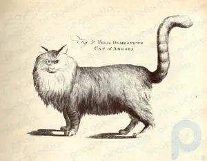 Encyclopædia ProPedia First Edition: Cats