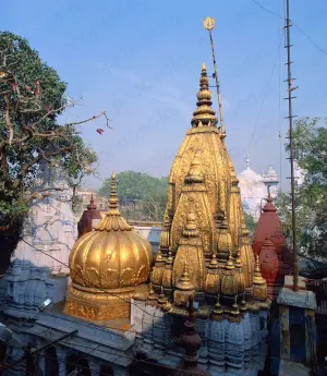 Храм Каши Вишванатх: храм, Варанаси, Индия